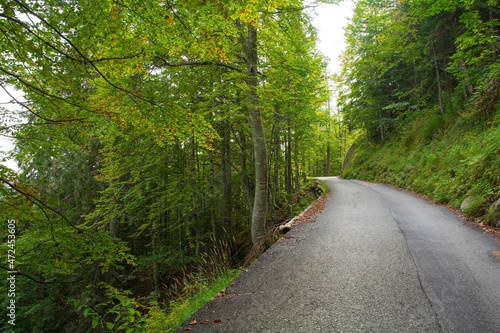 A road on Monte Ruke near Sauris di Sopra  Udine Province  Friuli-Venezia Giulia  north east Italy. Late September 