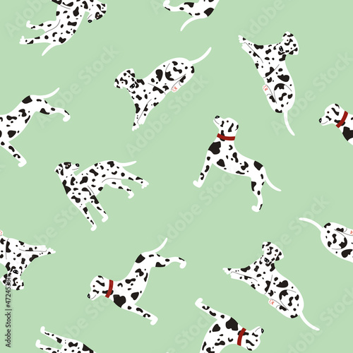 Seamless pattern of cute white spotted Dalmatian dogs on mint background. Vector fabric design. Vector illustration of a dog in different poses flat