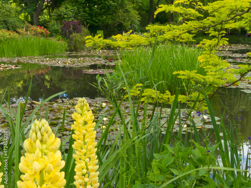 Giverney photo