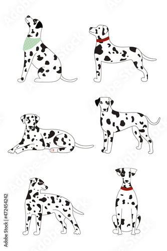 Collection of cute white spotted Dalmatian dogs on a white background. Vector illustration of a dog in different poses flat