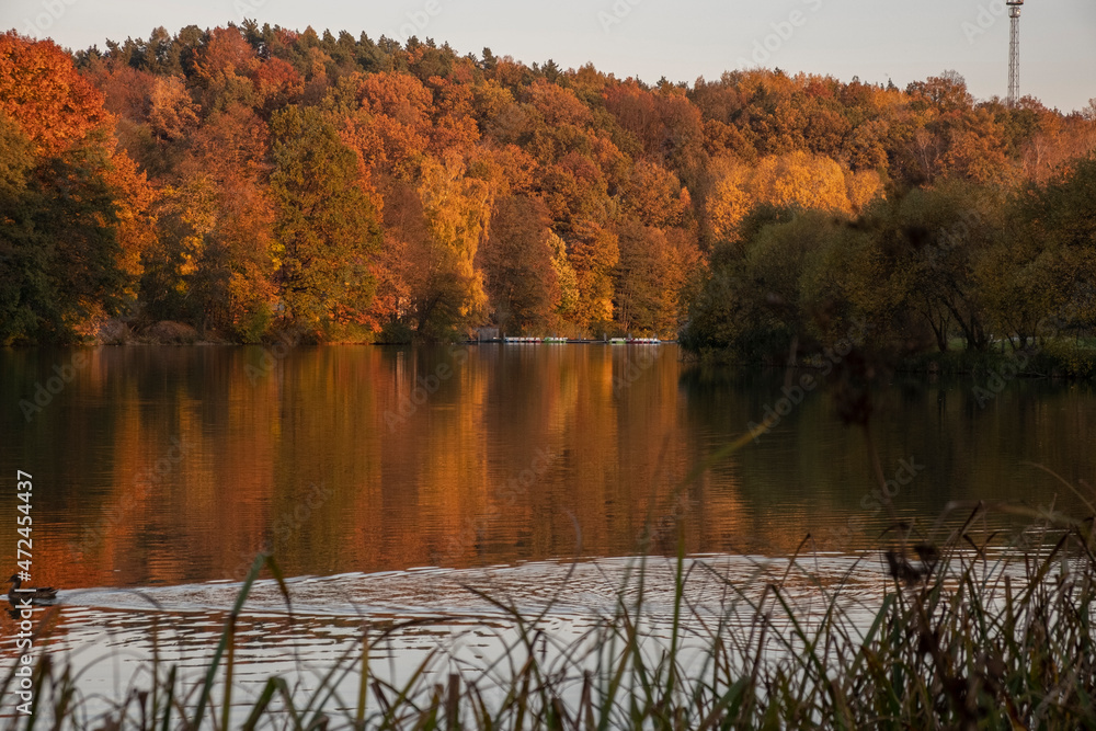 Obraz premium Herbstlandschaft am Stausee 