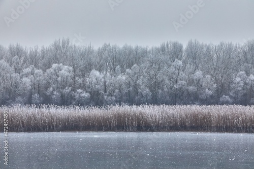 Wallpaper Mural Skating on a lake Torontodigital.ca
