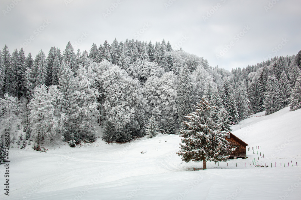 Winterlandschaft in den Bergen im Allgäu Winterlandschaft in den Bergen im Allgäu