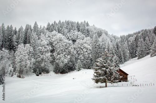 Winterlandschaft in den Bergen im Allgäu © Stephan