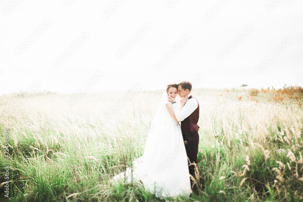Emotional beautiful bride hugging newlywed groom at a field closeup Emotional beautiful bride hugging newlywed groom at a field closeup