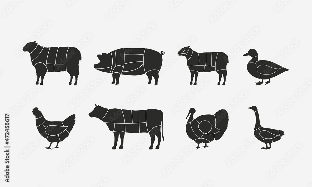 Butcher diagram templates set. Butcher's scheme of Beef, Mutton, Lamb, Pork, Duck, Chicken