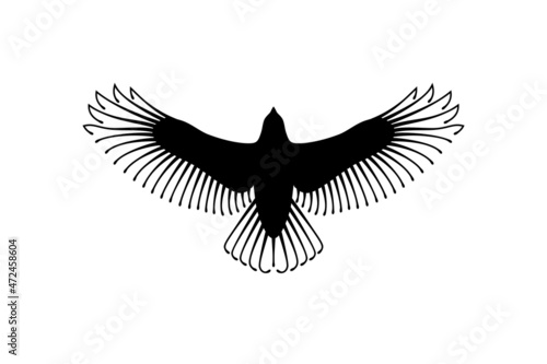 Engraving of stylized hawk. Decorative bird. Linear drawing. Flying bird. Stencil art. Black and white.