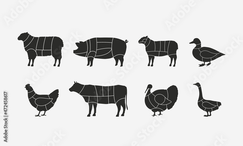 Butcher diagram templates set. Butcher's scheme of Beef, Mutton, Lamb, Pork, Duck, Chicken, Turkey, Goose. Vector Meats cuts illustrations.
