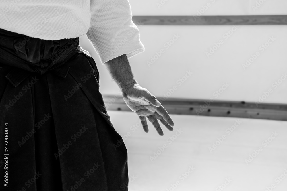 Man practicing aikido martial art in a dojo background.