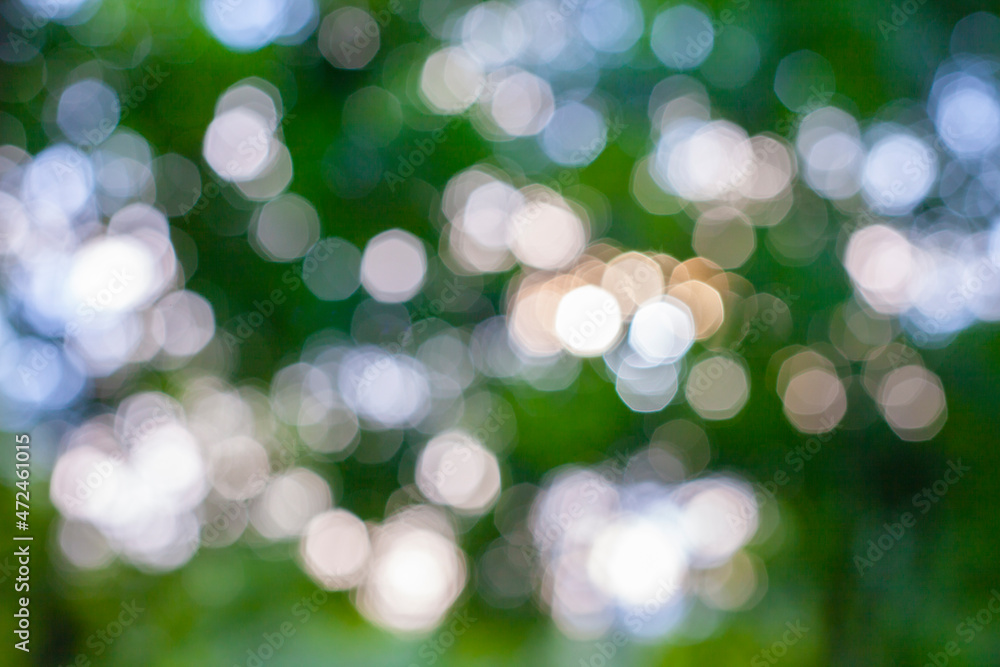 Obraz premium Natural bokeh background at sunset.