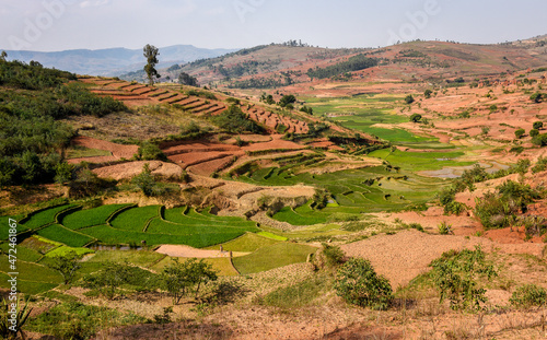 Les Rizières de Madagascar