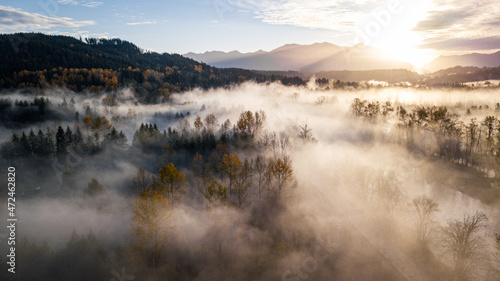 Fototapeta Naklejka Na Ścianę i Meble -  Sunny Fall Colors During Foggy Morning In Washington