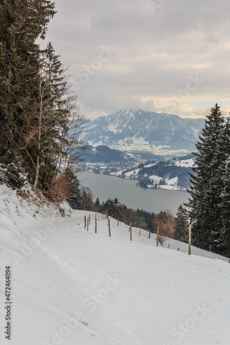 Wanderweg in den Allgäuer Alpen mit Blick zum Großen Alpsee