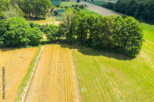 Aerial agricultural landscape, Big field ready to harvest aerial