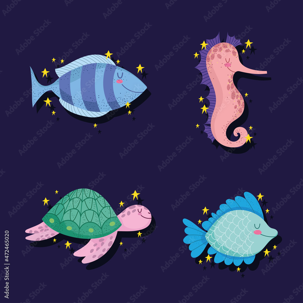 sea marine animals