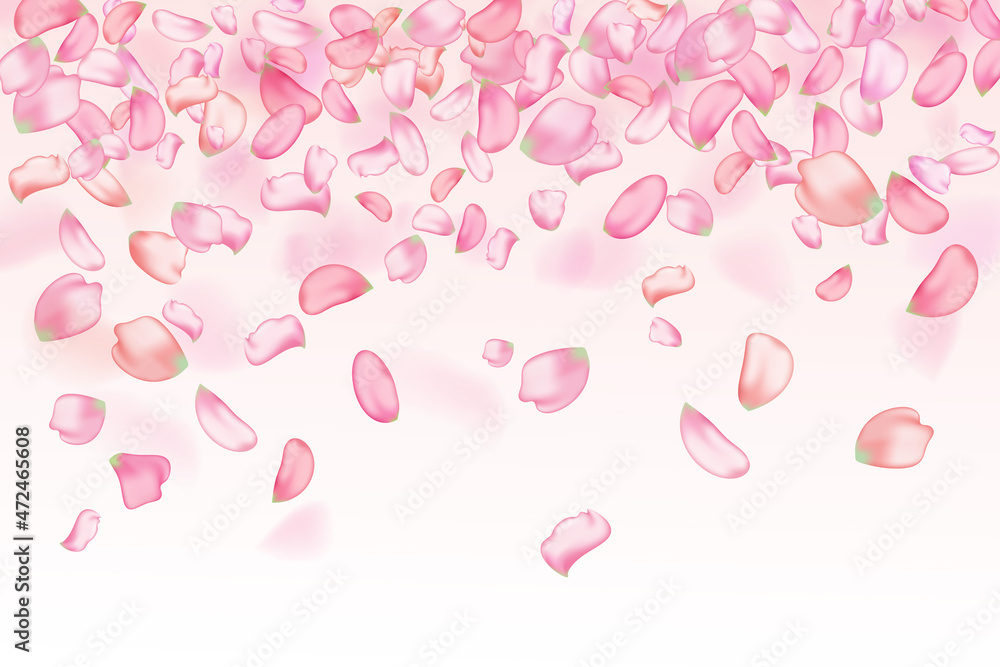 Pink falling sakura petals.Nature horizontal background.