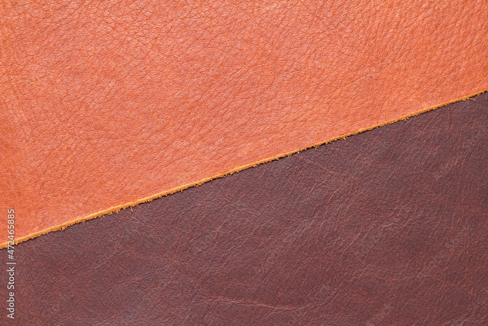 Fototapeta premium samples of genuine leather in different colors