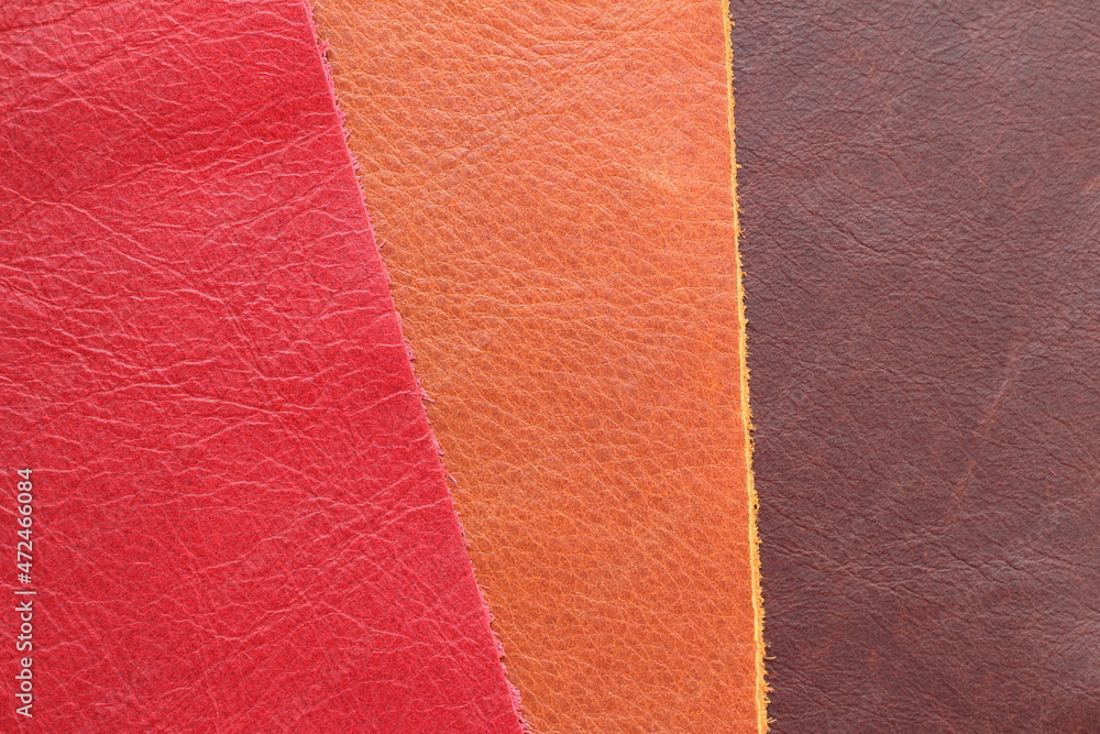 Fototapeta premium samples of genuine leather in different colors