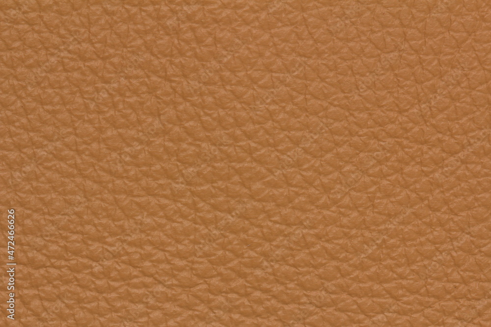 Fototapeta premium skin texture