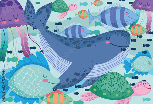 undersea life great variety