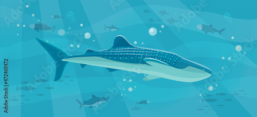 Underwater landscape with large predatory marine fish. Whale swimming in ocean, bottom of sea. Humpback whale and marine life in salty sea water. Aquatic world, ocean floor with algae and corals