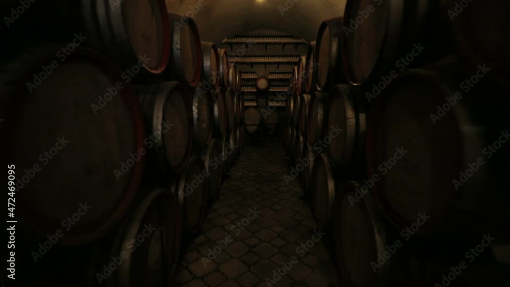 A Wine Cellar. Storage Room for Wine in Bottles and Barrels. Old wine in a dark underground vault. Wooden oak whiskey, wine, cognac, brandy or beer barrels. Bottles on wooden shelves. A Wine Cellar. Storage Room for Wine in Bottles and Barrels. Old wine in a dark underground vault. Wooden oak whiskey, wine, cognac, brandy or beer barrels. Bottles on wooden shelves.