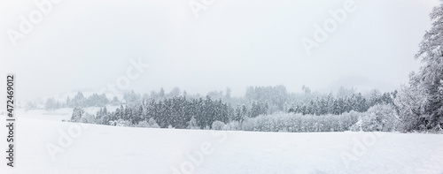 Weiß verschneite Wintrlandschaft mit schneebedeckten Tannenbäumen photo
