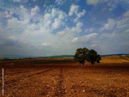 plowed field in the morning