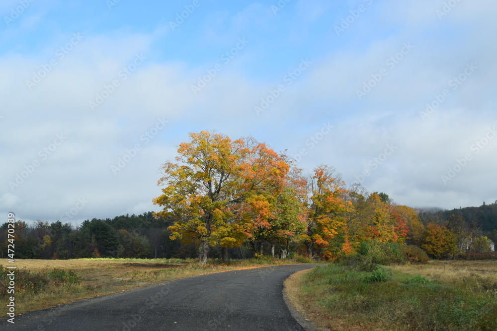 Autumn Fields Autumn Fields