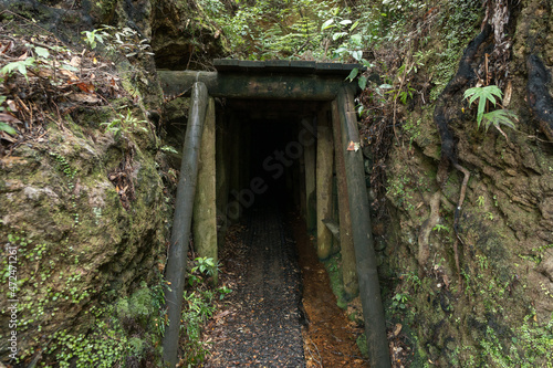 Historic rail tunnel  a part of an old gold mine transportation system located in North Island in New Zealand