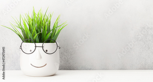 Table with plant in pot with glasses