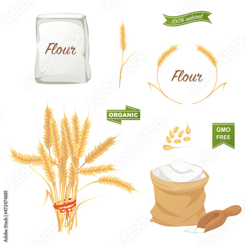 A set of organic products, the collection of wheat groats. Wheat grains, bunch of wheat ears, flour in a bag.