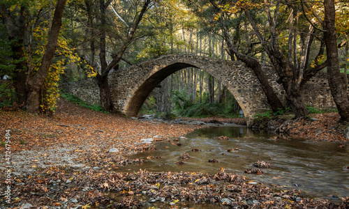 Autumn landscape with river flowing below ancient stoned bridge and yellow maple leaves on the ground. © Michalis Palis