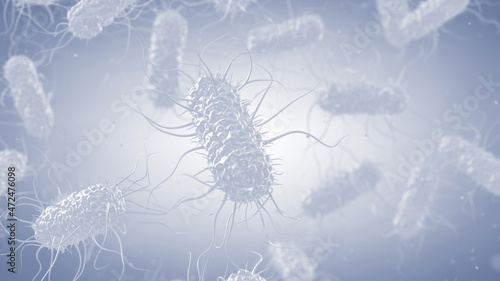 White Escherichia coli bacteria on white background. Escherichia coli is a gram negative bacterium that is part of the gut microbiota but some strains can cause food poisoning photo