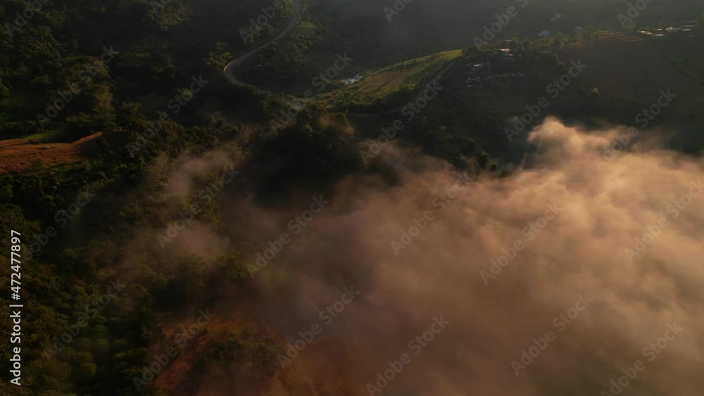 4K Aerial view of the misty sunrise in the forest, Tropical Rainforest in Thailand
4K Aerial view of the misty sunrise in the forest, Tropical Rainforest in Thailand