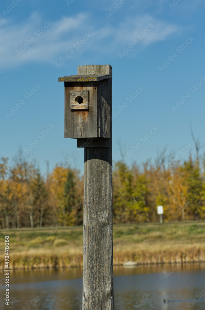 A Wooden Birdhouse for Tree Swallows A Wooden Birdhouse for Tree Swallows