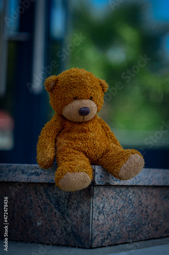 teddy bear sitting on a chair
