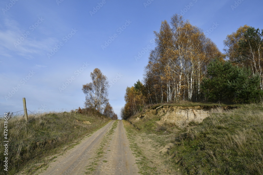 Wonderful Road in Odargowo