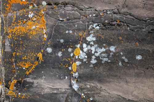 Natural stone background with rough textured surface and lichen. Spots of orange and white lichens on grunge background of mineral old gray stones, close-up. © Klever_ok