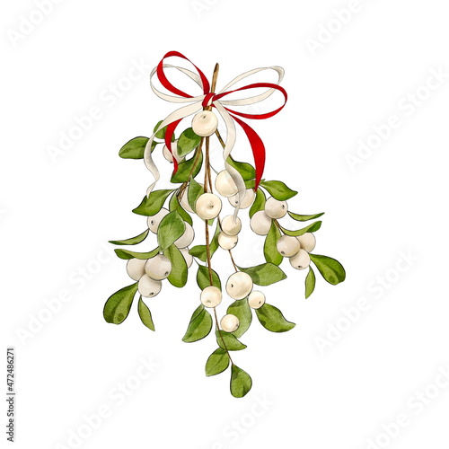 Traditional Christmas mistletoe twig with ribbon. Digital illustration