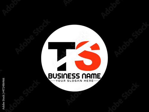 TS Logo Letter design, Unique Letter ts company logo with geometric pillar style design photo