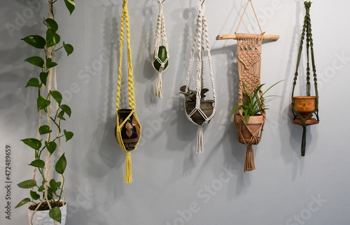indoor flowers on the wall in macrame pendants
