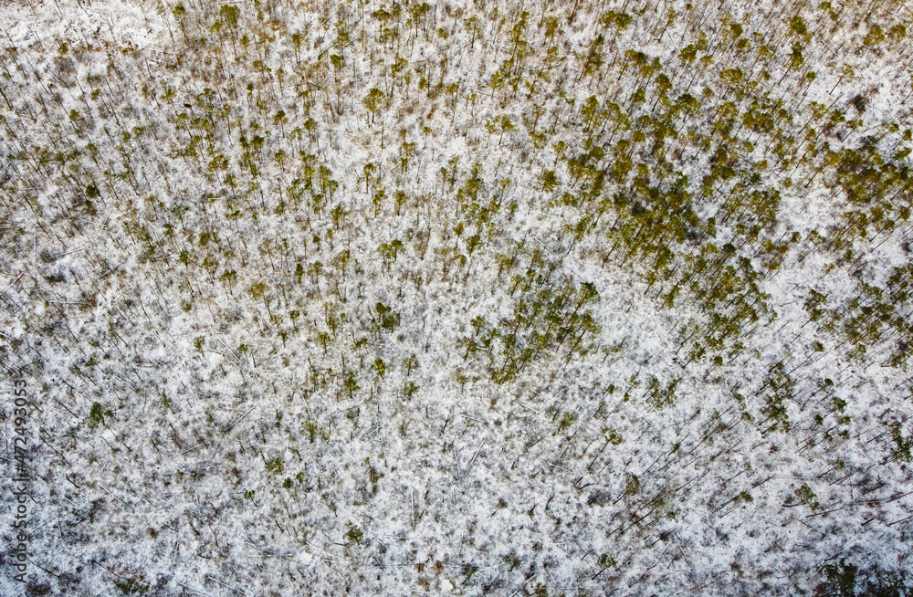 Aerial view of the white field and young forest. Landscape nature in winter Aerial view of the white field and young forest. Landscape nature in winter