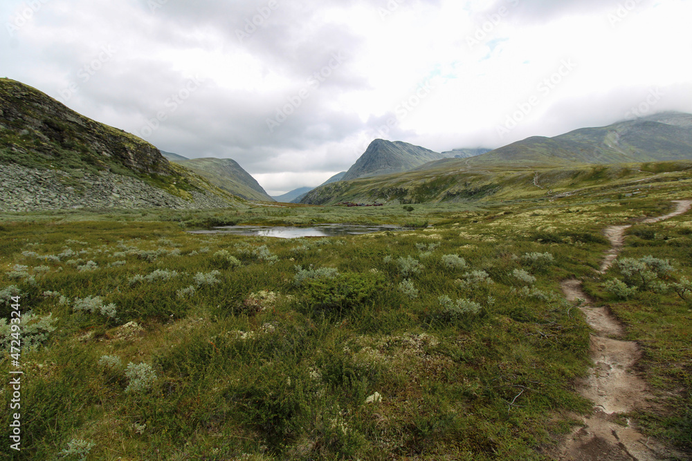 norwegian landscape, untouched nature 