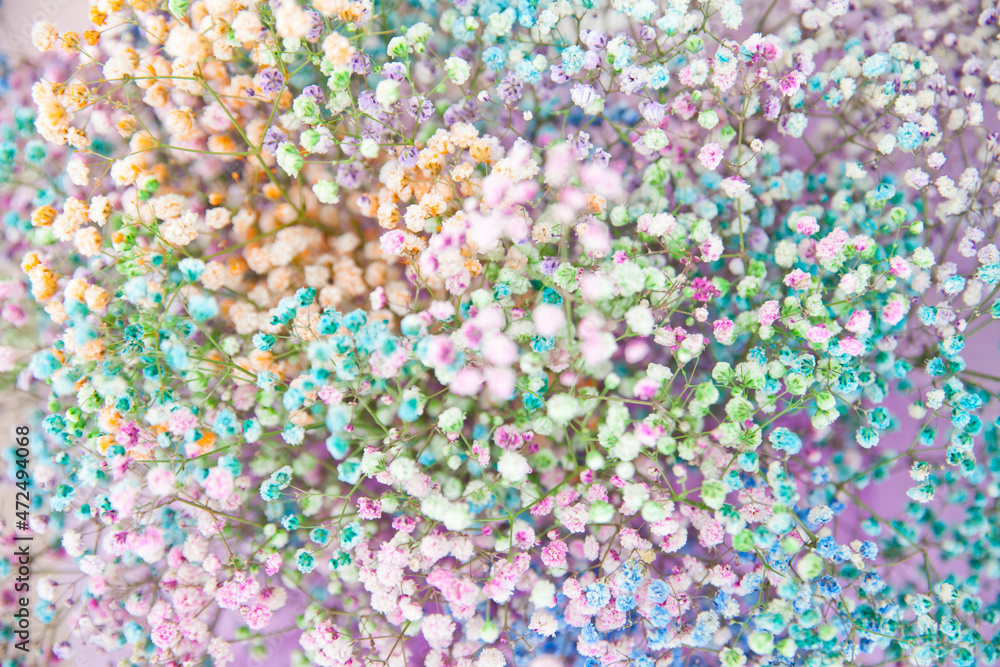 multicolored gypsophila. selective sharpness. as a background for the designer