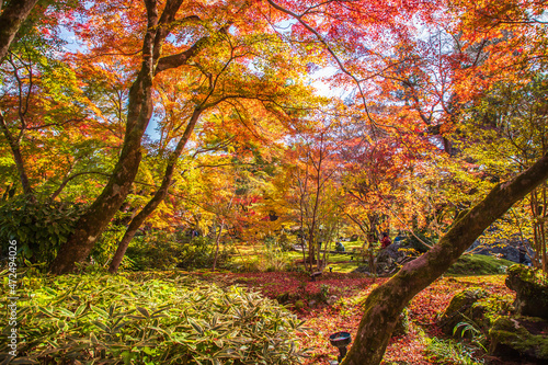 京都 宝厳院の紅葉