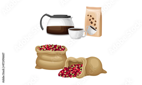 Fresh fruits in canvas sacks and brewing of aroma coffee. Coffee industry production vector illustration
