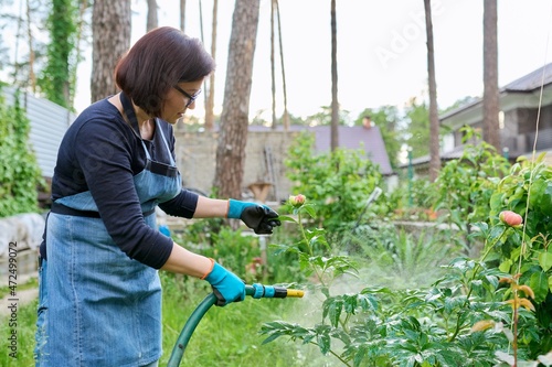 Woman watering plants in a flower bed in the backyard using a hose.