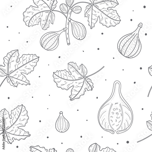 figs with leaves outline seamless pattern background