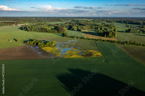Aerial view of summer fields